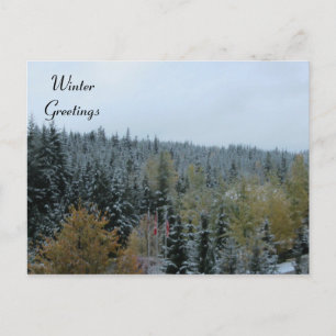 Carte Postale Scène hivernale à Whistler, C.-B.