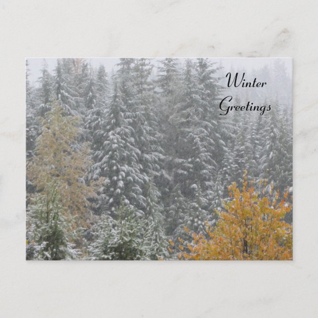 Carte Postale Scène hivernale à Whistler, C.-B. (Devant)