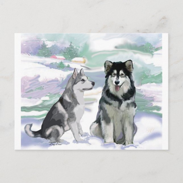 Carte Postale Scène hivernale de malamute en Alaska (Devant)