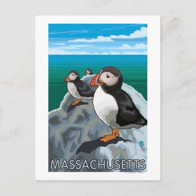 Carte Postale Scène MassachusettsPuffins (Devant)