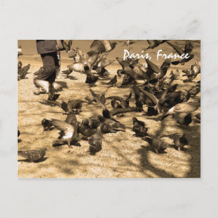 Carte Postale Scène parisienne typique