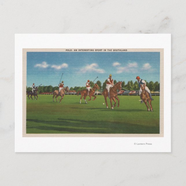 Carte Postale Scène Polo avec joueurs et chevaux sur la pelouse (Devant)