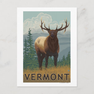 Carte Postale Scène VermontElk