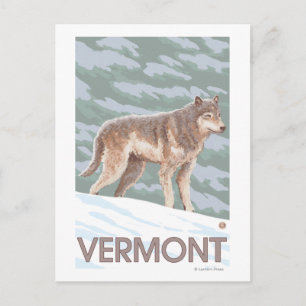 Carte Postale Scène VermontWolf