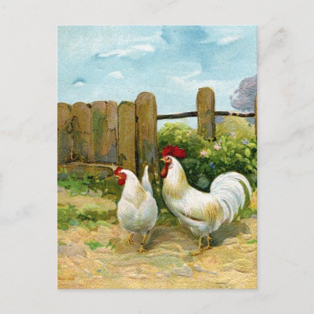 Carte Postale Scène vintage de Barnyard (Devant)