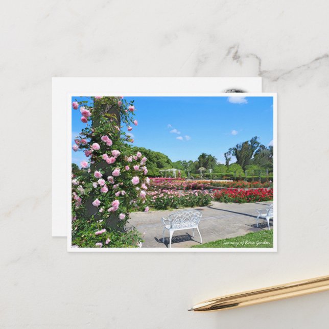 Carte Postale Scenery of Rose Garden ポストカード (Devant/Arrière en situation)