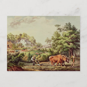 Carte Postale Scènes américaines de ferme