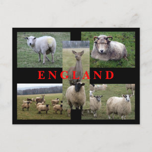 Carte Postale Scenes d'Angleterre