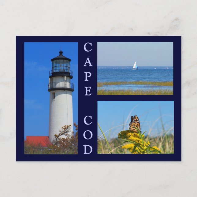 Carte Postale Scènes de bord de mer (Devant)