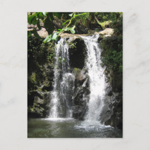 Carte postale Scènes de chute d'eau