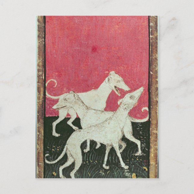 Carte Postale Scènes de faucons (Devant)