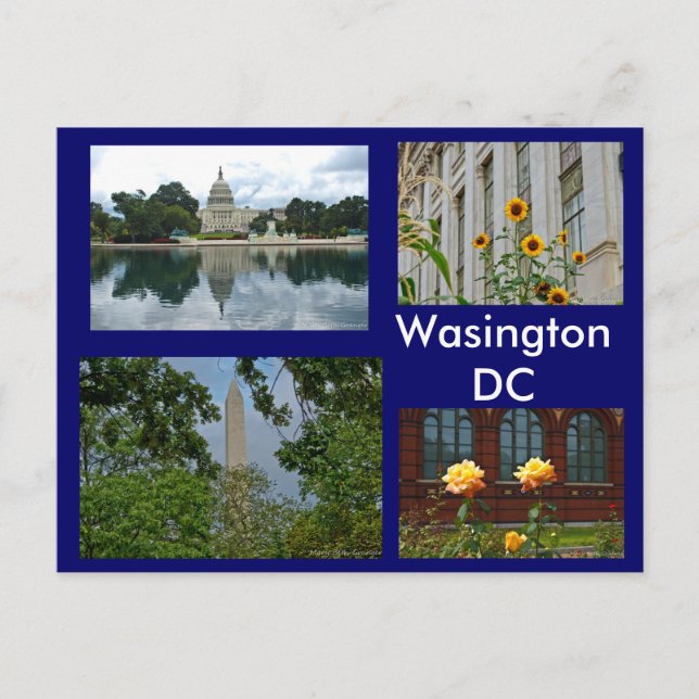 Carte Postale Scènes de Washington DC (Devant)