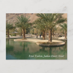 Carte Postale Scènes et images de Terre Sainte d'Israël