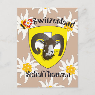 Carte Postale Schaffhausen Schweiz Postkarte