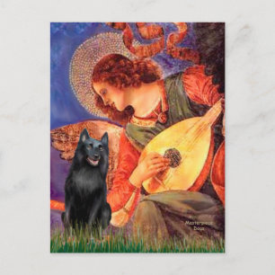 Carte Postale Schipperke 5 - Mandolin Angel