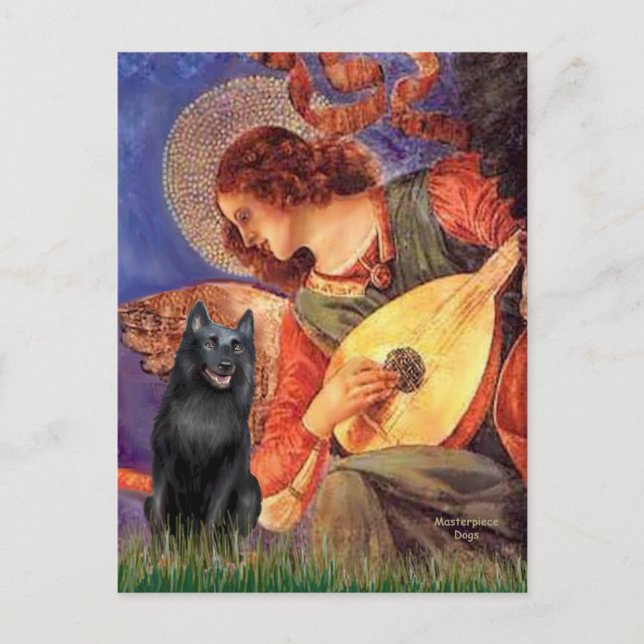 Carte Postale Schipperke 5 - Mandolin Angel (Devant)