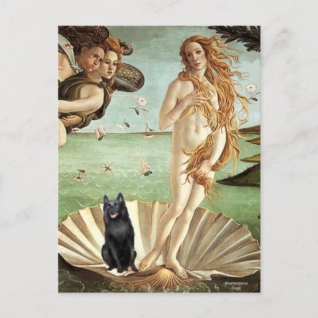 Carte Postale Schipperke 5 - Naissance de Vénus (Devant)