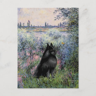 Carte Postale Schipperke 6 - Sur la Seine