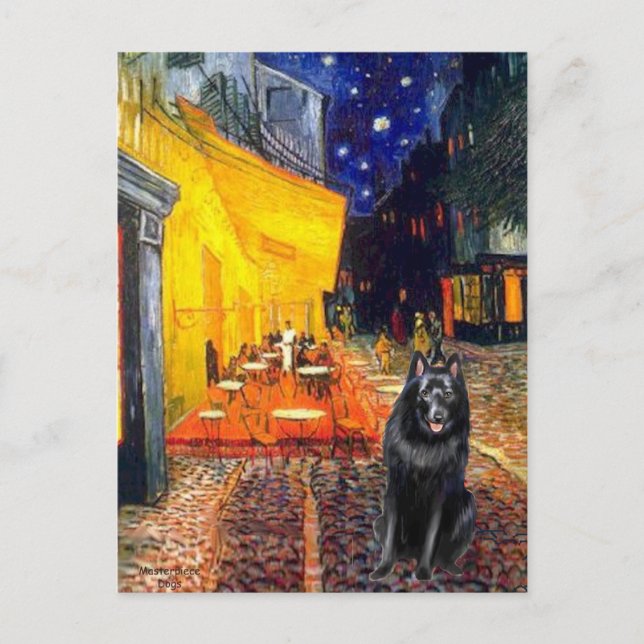 Carte Postale Schipperke 7 - Terrace Café (Devant)