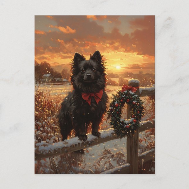 Carte Postale Schipperke Chien Russe coucher de soleil hivernal (Devant)