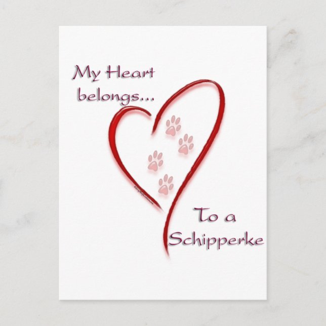 Carte Postale Schipperke Coeur Appartient (Devant)