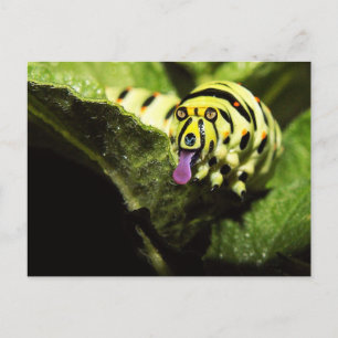 Carte Postale Schlobber