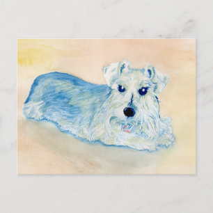 Carte Postale Schnauzer Andy