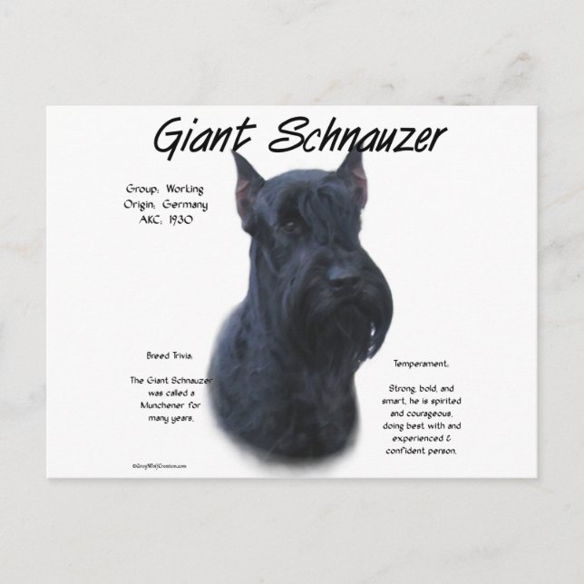 Carte Postale Schnauzer géant Conception de l'histoire (Devant)