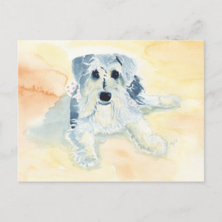 Carte Postale Schnauzer Mia