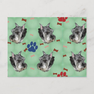 Carte Postale Schnauzer Portrait