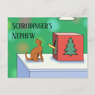 Carte Postale Schrodinger's Cat and Nephew Christmas Postcard
