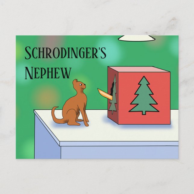 Carte Postale Schrodinger's Cat and Nephew Christmas Postcard (Devant)