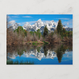 Carte Postale Schwabacher's Landing, Grand Teton