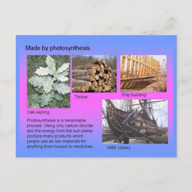 Carte Postale Science, Fabriqué par Photosynthèse ! (Devant)