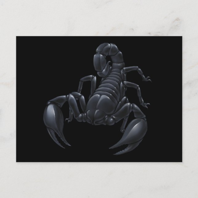 Carte Postale Scorpion (Devant)