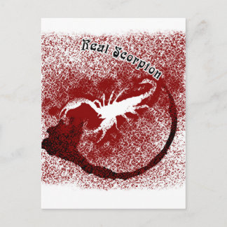 Carte Postale Scorpion réel