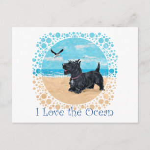 Carte Postale Scottie Beach customisée