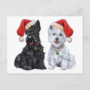 Carte Postale Scottie et Westie Caroling