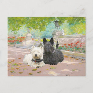 Carte Postale Scottie et Westie dans un jardin