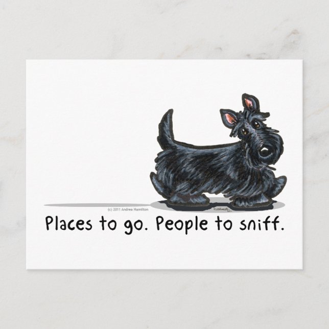 Carte Postale Scottie People To Sniff (Devant)