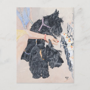 Carte Postale Scotties Allume des Bougies