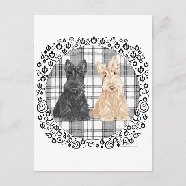 Carte Postale Scotties tartan (Devant)