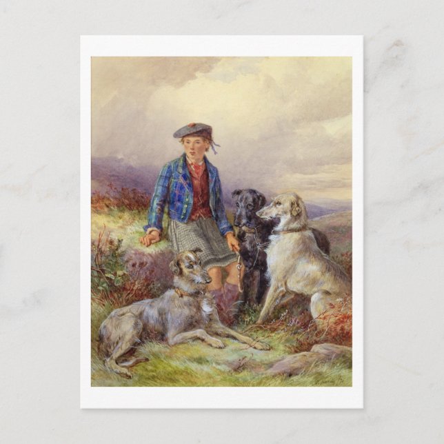 Carte Postale Scottish boy with wolfhounds in a Highland landsca (Devant)