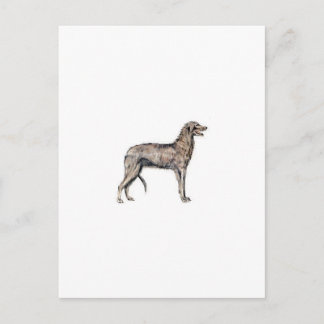 Carte Postale Scottish Deerhound