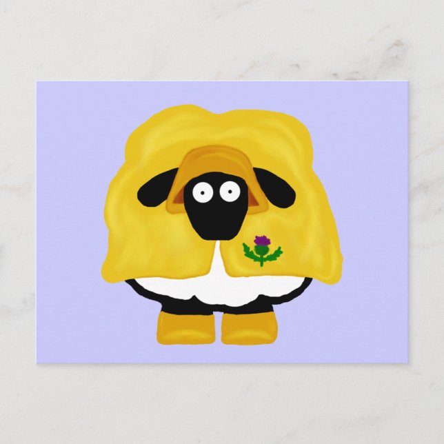Carte postale Scottish Sheep (Devant)