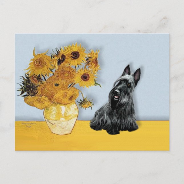 Carte Postale Scottish Terrier 3 - Tournesols (Devant)