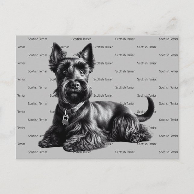 Carte Postale Scottish Terrier à (Devant)