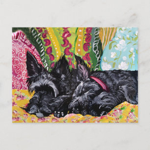 Carte Postale Scottish Terrier Cottage