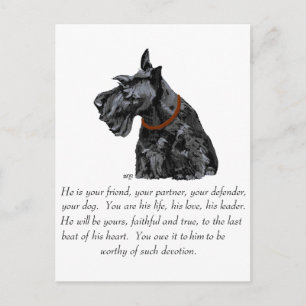 Carte Postale Scottish Terrier Keepsaké - chien mâle