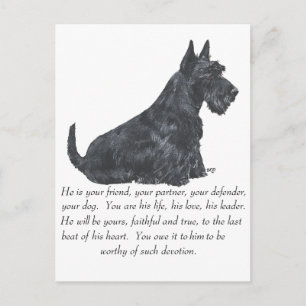 Carte Postale Scottish Terrier Keepsaké - chien mâle